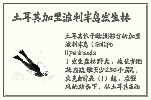 粉嫩自拍 偷拍 亚洲